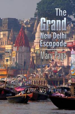 Book cover for The Grand New Delhi Escapade