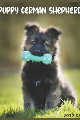 Cover of German Shepherd Puppy 2022 Calendar