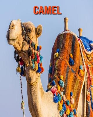 Book cover for Camel