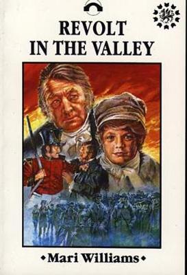 Book cover for Welsh History Project Novels: Revolt in the Valley