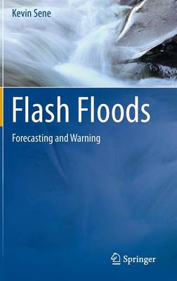 Book cover for Flash Floods