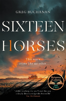 Book cover for Sixteen Horses