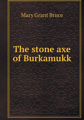 Book cover for The stone axe of Burkamukk