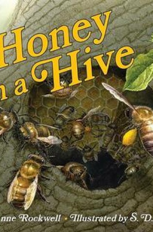 Cover of Honey In A Hive