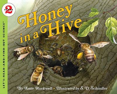 Book cover for Honey In A Hive