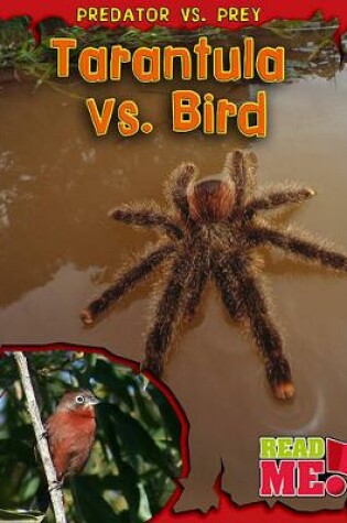 Cover of Tarantula vs. Bird