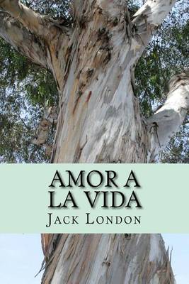 Book cover for Amor a la Vida