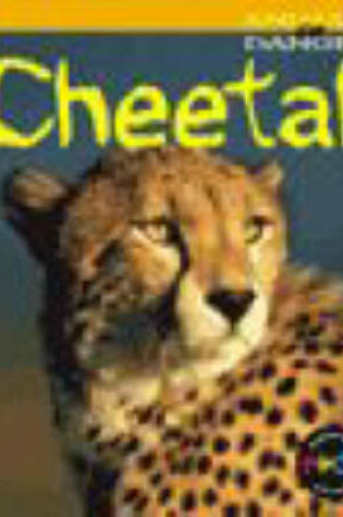 Cover of Animals Danger: Cheetah HB