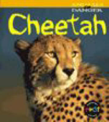 Book cover for Animals Danger: Cheetah HB