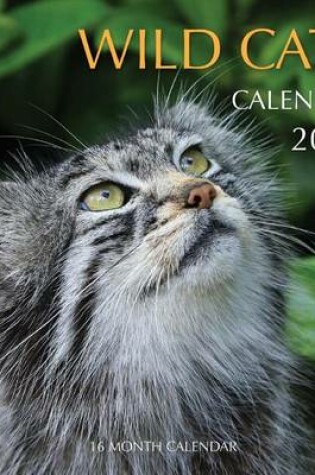 Cover of Wild Cats Calendar 2016