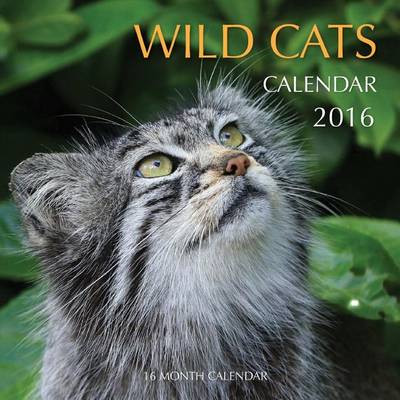 Book cover for Wild Cats Calendar 2016