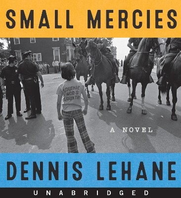 Book cover for Small Mercies CD