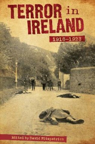 Cover of Terror In Ireland