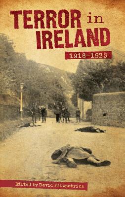 Book cover for Terror In Ireland