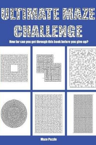 Cover of Maze Puzzle