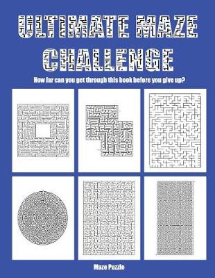 Book cover for Maze Puzzle