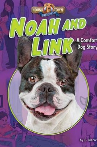 Cover of Noah and Link