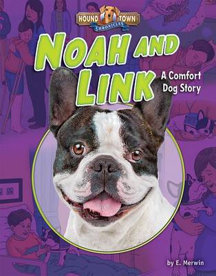 Book cover for Noah and Link
