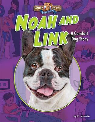 Cover of Noah and Link