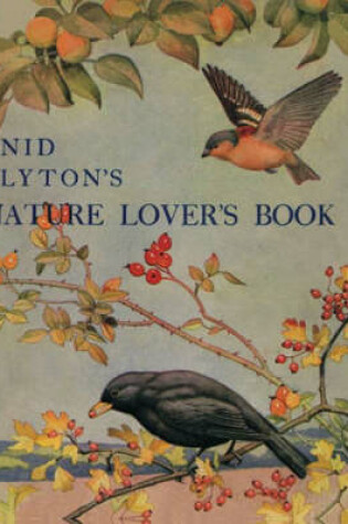 Cover of Enid Blyton's Nature Lover's Book