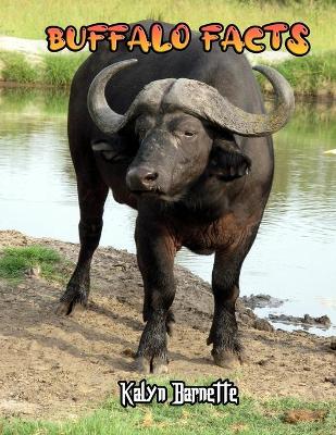 Book cover for Buffalo Facts