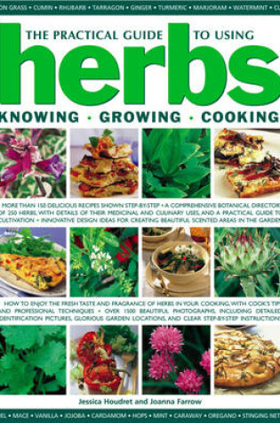 Cover of The Practical Guide to Using Herbs