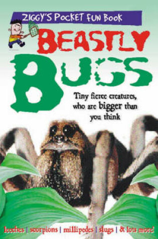 Cover of Beastly Bugs - Pack of Ten