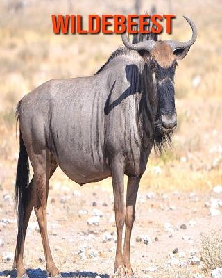 Book cover for Wildebeest