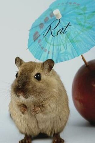 Cover of Rat