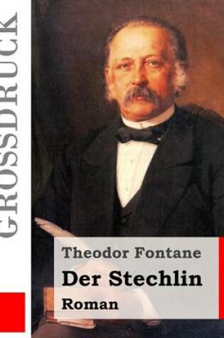 Cover of Der Stechlin (Grossdruck)