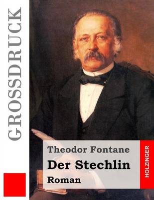 Book cover for Der Stechlin (Grossdruck)
