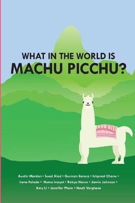 Book cover for What in the World is Mach Picchu?