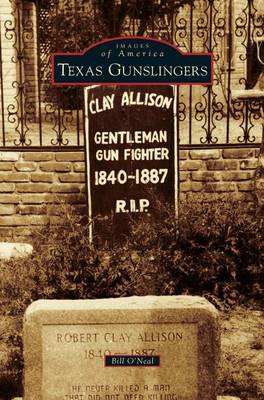 Book cover for Texas Gunslingers