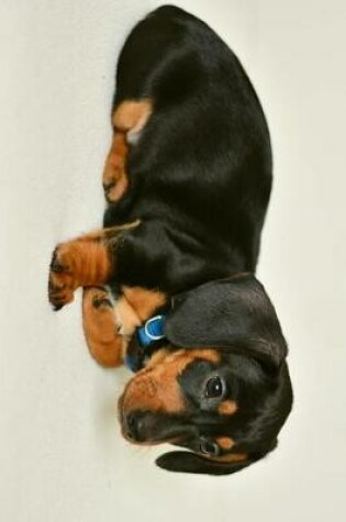 Cover of Floppy Eared Dachshund Puppy Dog Laying Down Journal