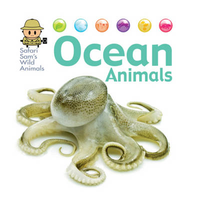 Book cover for Ocean Animals