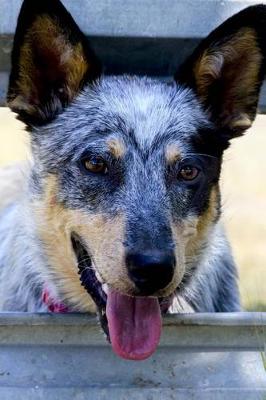 Book cover for Say Hello to the Blue Heeler Australian Cattle Dog Journal