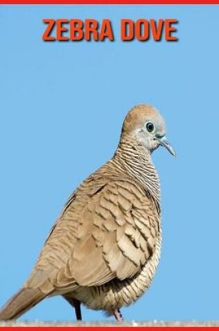 Cover of Zebra Dove