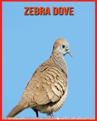 Book cover for Zebra Dove