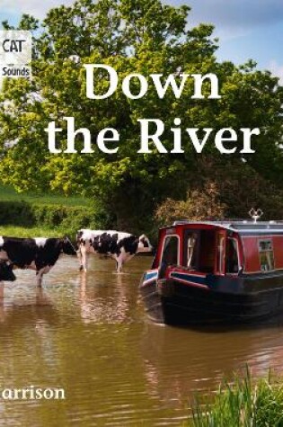 Cover of Down the River