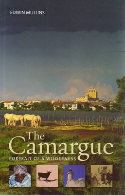 Book cover for Camargue