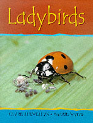 Book cover for Ladybirds