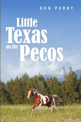 Book cover for Little Texas On the Pecos