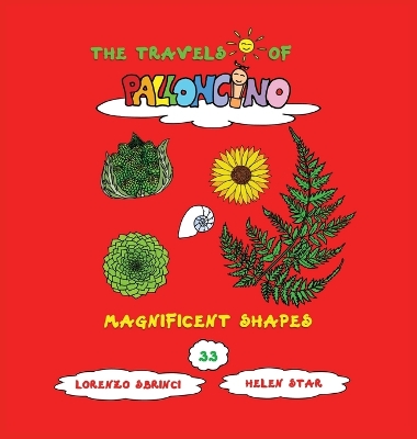 Cover of Magnificent shapes