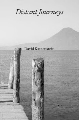 Cover of David Katzenstein