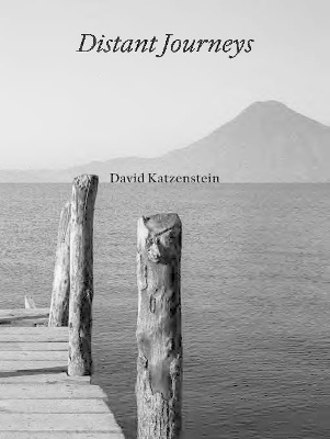 Book cover for David Katzenstein
