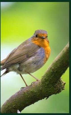 Book cover for Bird Watching Journal