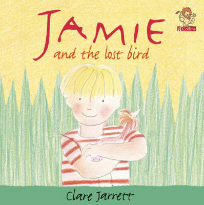 Book cover for Jamie and the Lost Bird