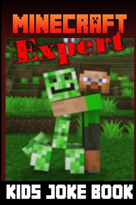 Book cover for Minecraft Expert