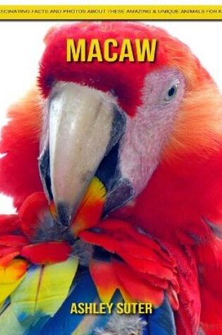 Cover of Macaw