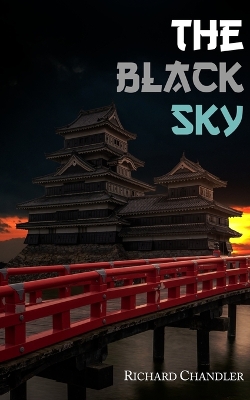 Book cover for The Black Sky